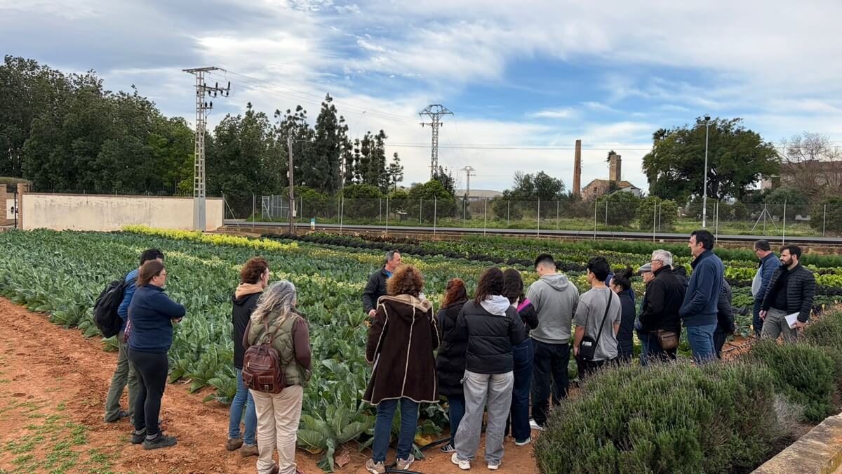 Plataforma Tierra analiza en Picanya el auge de las brásicas de especialidad (1).jpeg